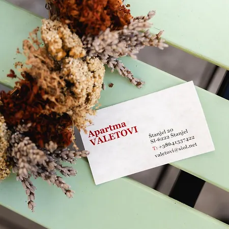 Valetovi Apartamento *